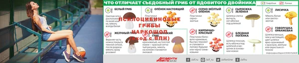трава Алзамай