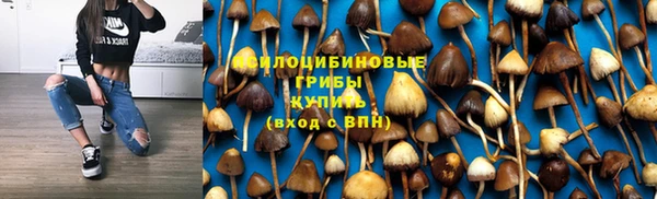 spice Абинск