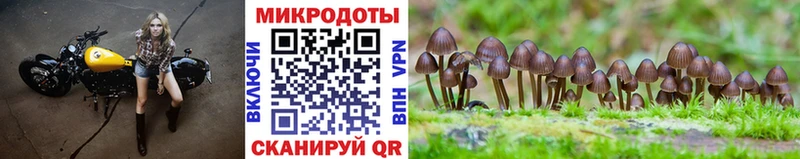 Псилоцибиновые грибы мухоморы  дарк нет Telegram  Копейск  продажа наркотиков 