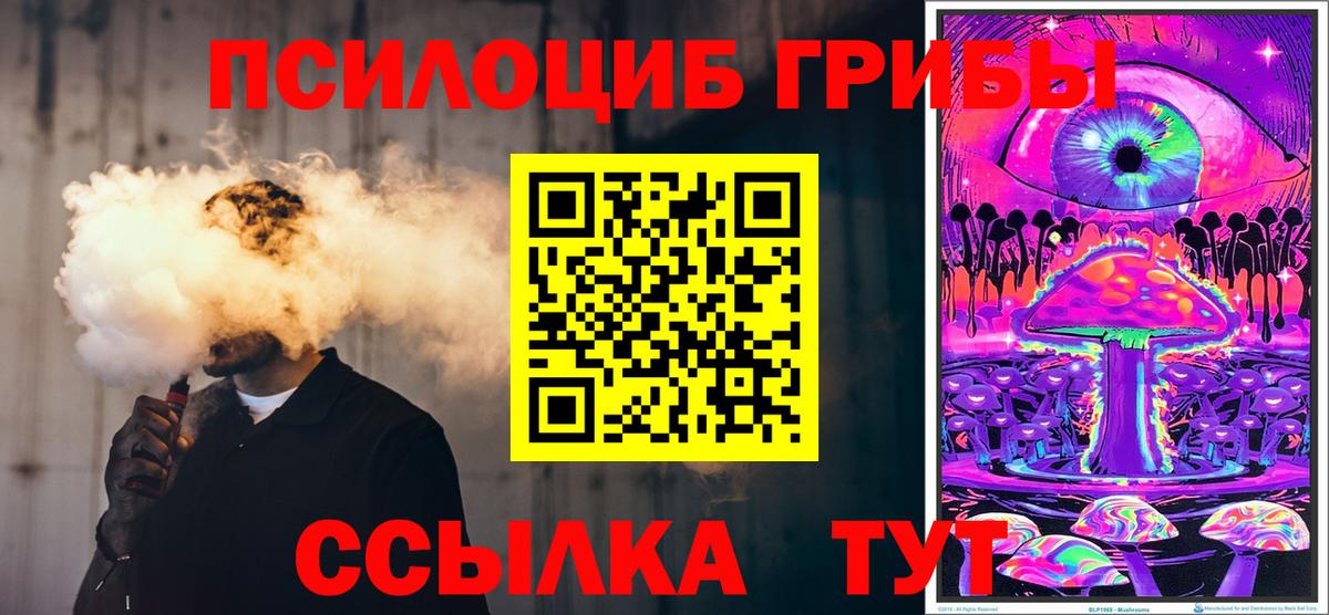 Галлюциногенные грибы Psilocybe Копейск
