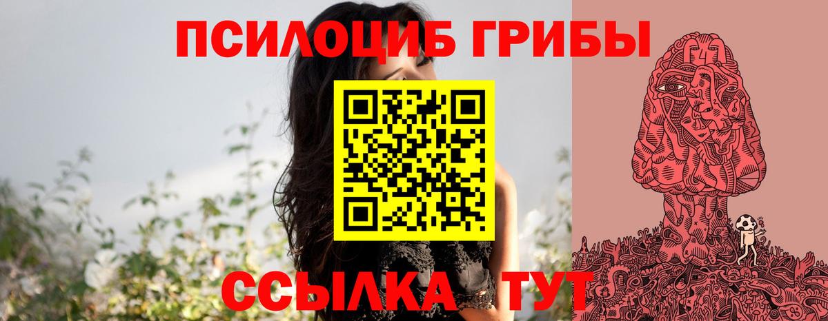 купить  цена  Псилоцибиновые грибы Psilocybe  Вход с VPN  Копейск 