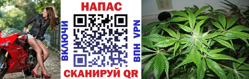 Конопля OG Kush Копейск